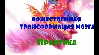 ОТЕЦ АБСОЛЮТ/ ПЕРЕХОД В ПЯТОЕ ИЗМЕРЕНИЕ (БОЖЕСТВЕННАЯ ТРАНСФОРМАЦИЯ МОЗГА)