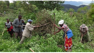 Judiciary and lands commision team up to offer better service in land issues