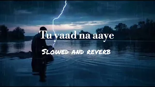 Tu yaad na aaye | slowed and reverb song | bollywood song | 🎵 ♥️ ❤️ 💖 🎶