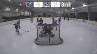 20240507 Full Game - Blue Whalers vs Lawdogs