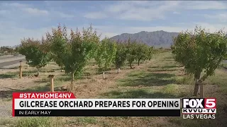 Gilcrease Orchard prepares for May opening