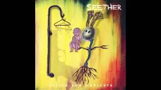 Seether - Same Damn Life (Explicit)