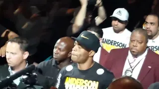 UFC 162 Anderson Silva entrance