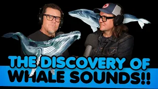 Singing For Survival: How The Discovery Of Whale Songs Slowed Their Murder