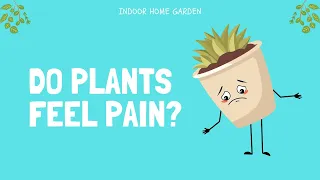 Can Plants Feel Pain? 😢