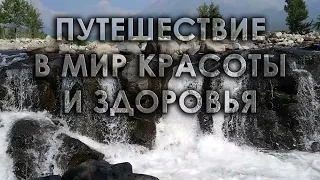 Путешествие в мир красоты и здоровья. Путеводитель