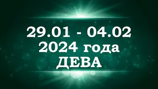 ДЕВА | ТАРО прогноз на неделю с 29 января по 4 февраля 2024 года | Расклад таро | Таро онлайн