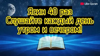 40 ясин | 40 Yaseen | 40 يس