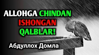 Абдуллох Домла • Аллохга Чиндан Ишонган Калблар // Abdulloh Domla • Allohga Bo'lgan Ishonch