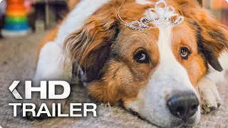 A DOG’S JOURNEY All Clips & Trailers (2019)