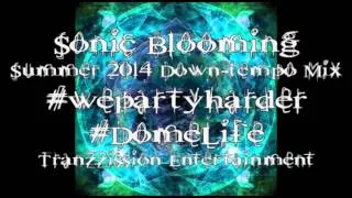 Sonic Blooming Summer 2014 Down-tempo MIX