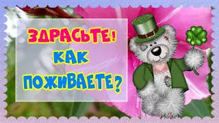 Здрасьте! Добрый вечер! Как поживаете? Позитивчик