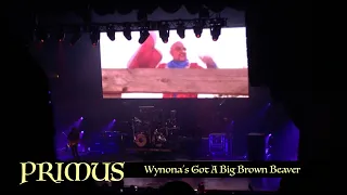 PRIMUS - Wynona's Got A Big Brown Beaver