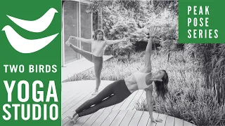 60 Minute Vinyasa Flow - Peak Pose Series (Bird of Paradise)