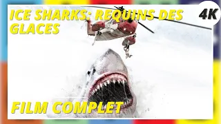 Ice Sharks: Requins des glaces | Action | 4K | Film complet en français