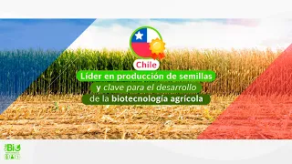 Chile, líder en producción de semillas y clave para el desarrollo de la biotecnología agrícola