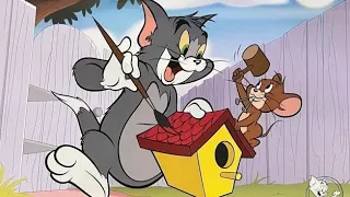 Tom and Jerry Singapore Full Episodes | Cartoon Network Asia | comedy video | @ramsinghpgl