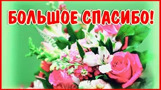 Большое спасибо! Большое и огромное вам спасибо открытка!