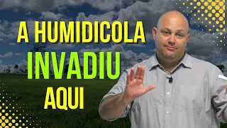 OLHA SÓ ISSO... A HUMIDICOLA INVADIU TODA ESSA PASTAGEM DA FAZENDA | PROF MARCELO COSTA