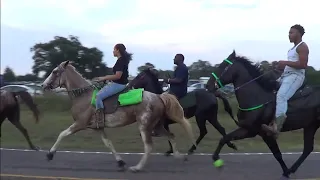 2021 Omaha Tennessee Walking Horse Trail Ride (Turn Up Squad)