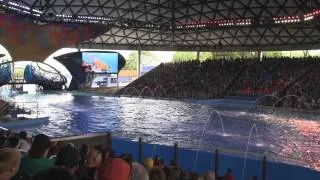 One Ocean at SeaWorld San Antonio - Full HD Show