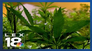 Change in KY medical marijuana program