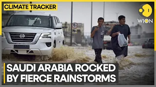 Strong winds & lightning storms witnessed in Mecca, Jeddah | WION Climate Tracker