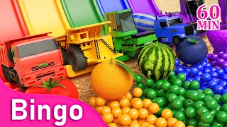 Bingo & The Alphabet 🔤 | Soccer ball shaped wheels☀️ | Nursery Rhymes & Kids Songs
