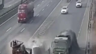 truck driver survives. wtf is a cat lifestyle