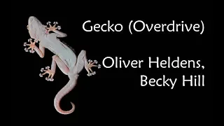 Oliver Heldens & Becky Hill - Gecko (Overdrive) (Lyrics Video by WR)