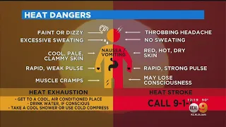 Signs Of Heat Exhaustion, Heat Stroke