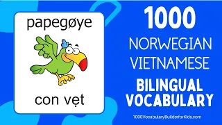 Learn Norwegian Vietnamese 1000 Bilingual Vocabulary for Beginners   Lære Norsk Vietnamesisk