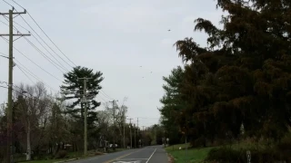 Four C-17 Military Planes Flying Overhead!!!!