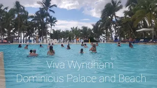 Viva Wyndham Dominicus Palace and Beach Tour! Best Resort in The Dominican? January 2023