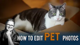 Learn How to Edit PET Photos - LIVE Photo Editing
