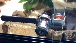 HOW TO INSTALL A VIVARIUM LOCK