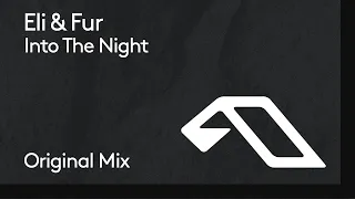 Eli & Fur - Into The Night