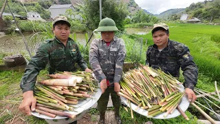 loại đặc sản mọc từ đất ngon nhất tây bắc | Nhịp Sống Tây Bắc