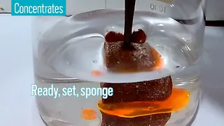 Modified sponge mops up oil but not water