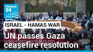 UN Security Council for first time passes resolution calling for ‘immediate’ Gaza ceasefire