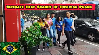 Ultimate Best of Bushman Prank Compilation