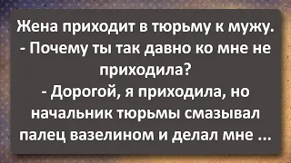 Жена Арестанта Ходила к Начальнику Тюрьмы на Палец! Сборник Самых Свежих Анекдотов! Юмор