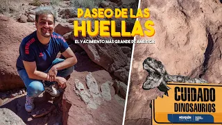 EL YACIMIENTO DE HUELLAS DE DINOSAURIOS MÁS GRANDE DE AMÉRICA - Paseo de las Huellas de El Chocón.