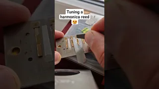 Tuning a harmonica reed 🎵🎵🎵 #harmonica