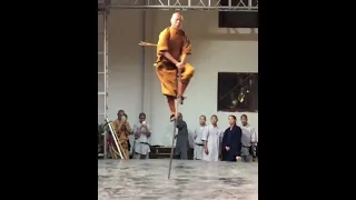 Monkey style shaolin kung fu (Crazy monk) #chinesekungfu