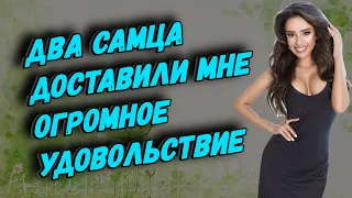 Позволил это сделать