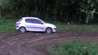 Rally com peugeot 206