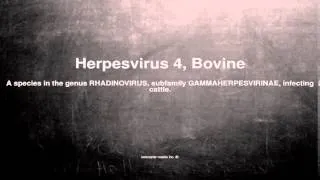 Medical vocabulary: What does Herpesvirus 4, Bovine mean