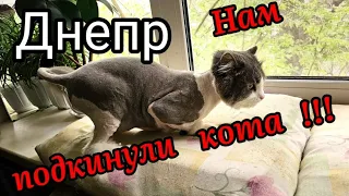 Днепр🎁Нам ПОДКИНУЛИ 😼 Кота‼️Вторая торба готова!24.04.2024.