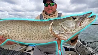 Leech Lake Early Fall MUSKIES!! - Battle Day 2